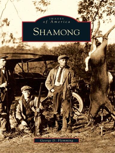 Portada del libro «Shamong», de George D. Flemming
