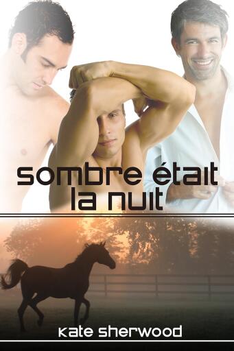Portada del libro «Sombre était la nuit», de Kate Sherwood