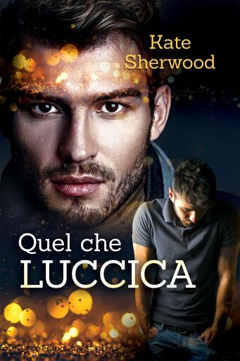 Portada del libro «Quel che luccica»