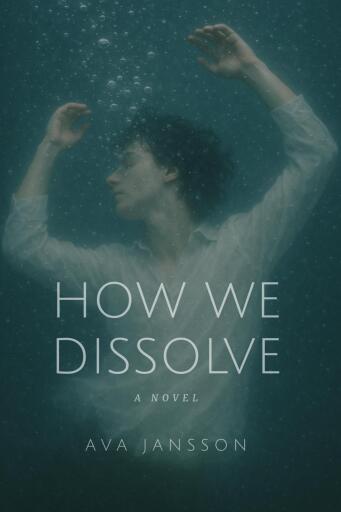 How We Dissolve imagen de portada
