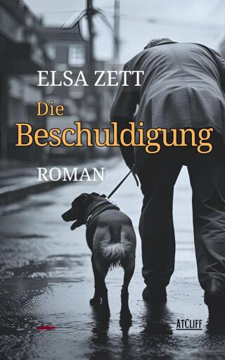 Portada del libro «Die Beschuldigung», de Elsa Zett