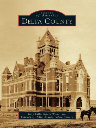 Portada del libro «Delta County», de Judy Falls, Sylvia Wood