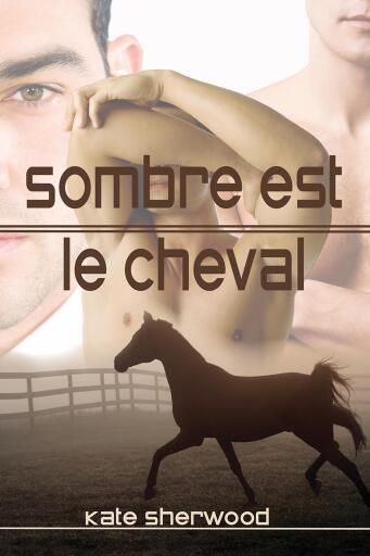 Portada del libro «Sombre est le cheval», de Kate Sherwood