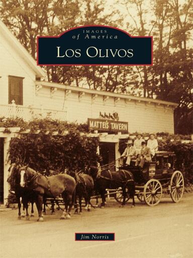 Portada del libro «Los Olivos», de Jim Norris