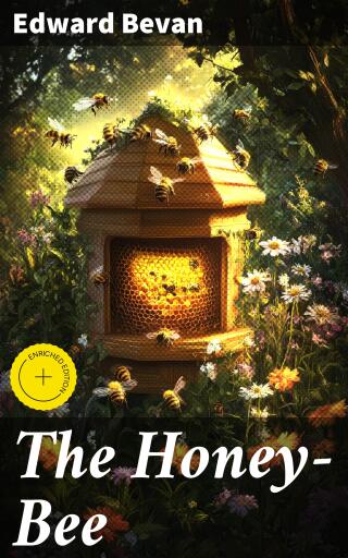 The Honey-Bee