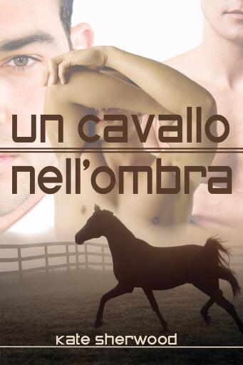 Portada del libro «Un cavallo nell'ombra», de Kate Sherwood