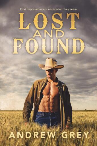 Portada del libro «Lost and Found», de Andrew Grey