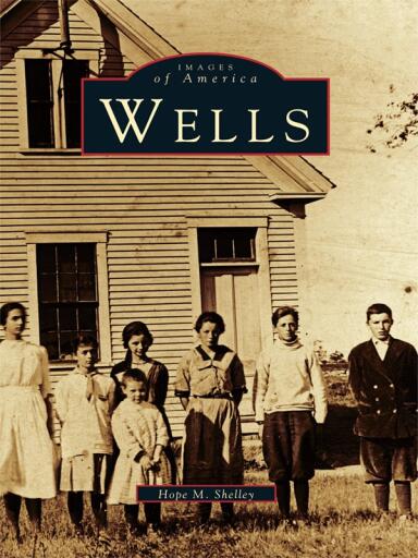 Portada del libro «Wells», de Hope M. Shelley