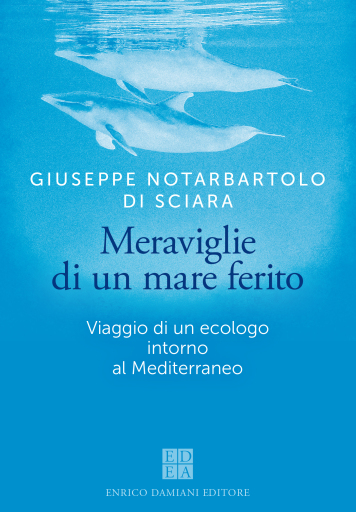 Meraviglie di un mare ferito