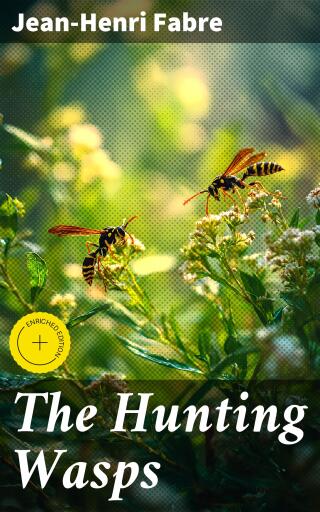 The Hunting Wasps