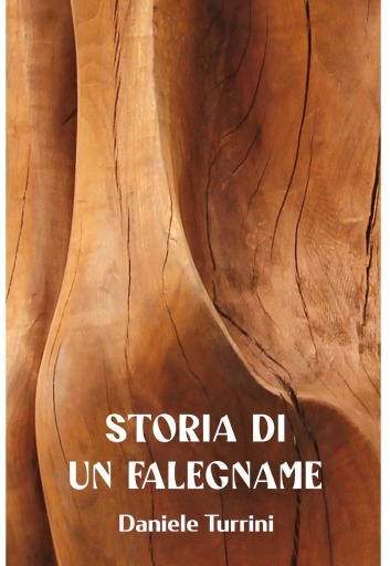 STORIA DI UN FALEGNAME