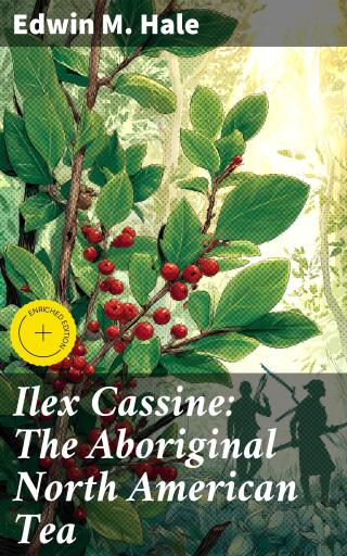 Ilex Cassine: The Aboriginal North American Tea