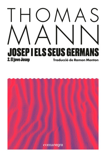Josep i els seus germans II