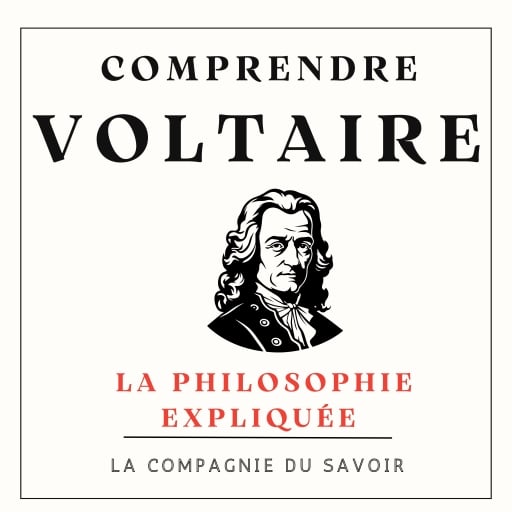 Comprendre Voltaire