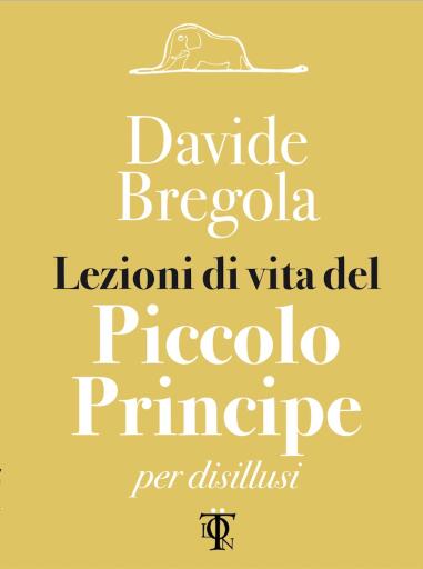 Lezioni di vita del piccolo principe