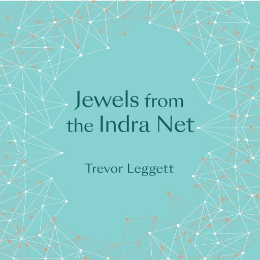 Jewels From The Indra Net