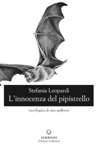 L'innocenza del pipistrello