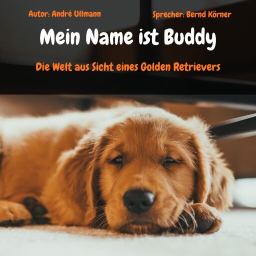 Mein Name ist Buddy - Die Welt aus Sicht eines Golden Retrievers