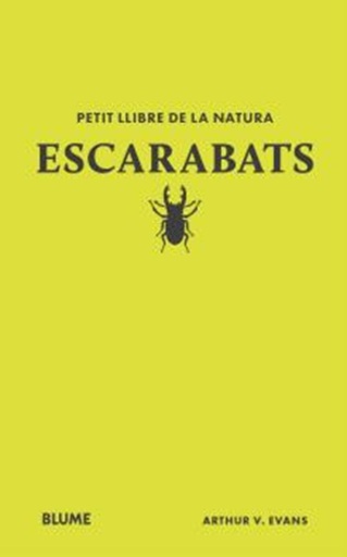 Escarabats
