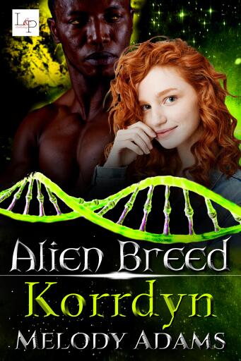 Korrdyn