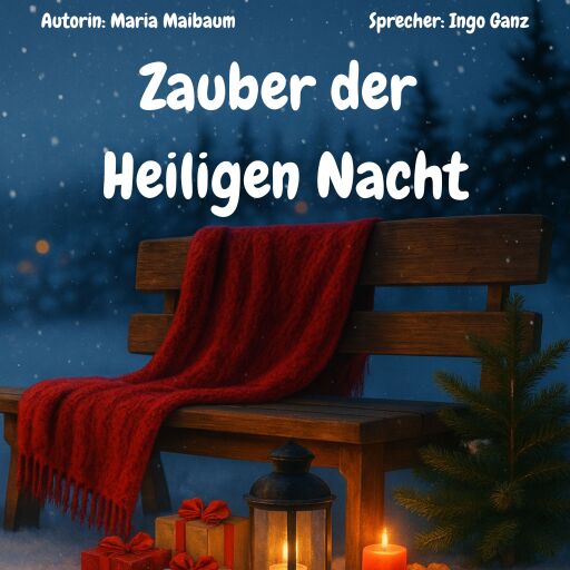 Zauber der Heiligen Nacht - Geschichten für die Weihnachtszeit
