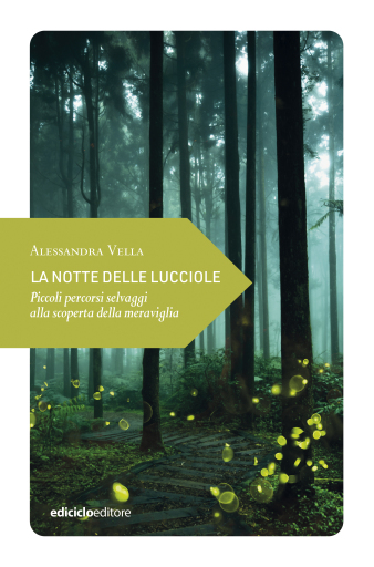 La notte delle lucciole