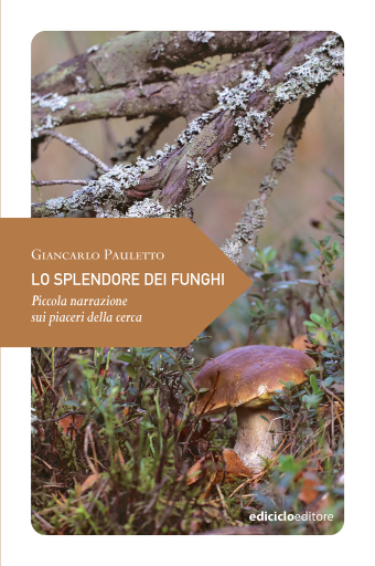 Lo splendore dei funghi
