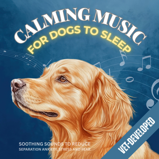 Calming Music for Dogs to Sleep