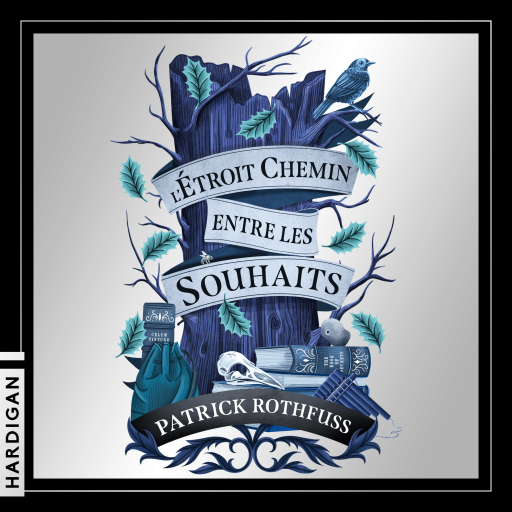Portada del audiolibro «L'étroit chemin entre les souhaits», de Patrick Rothfuss