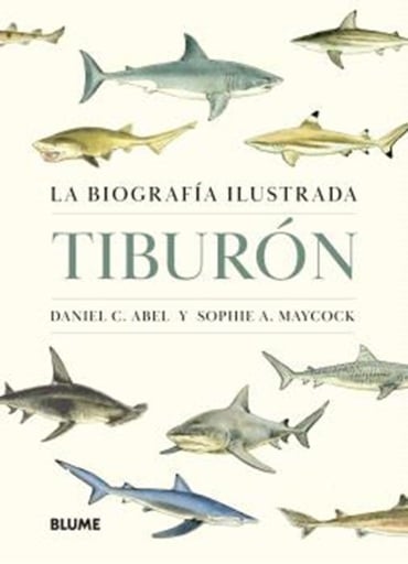 Tiburón