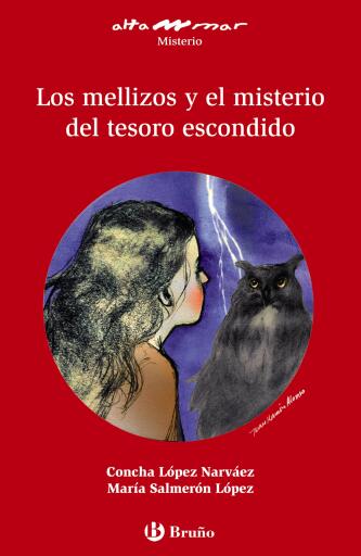 Los mellizos y el misterio del tesoro escondido (ebook)