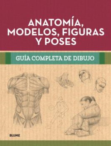 Anatomía, modelos, figuras y poses