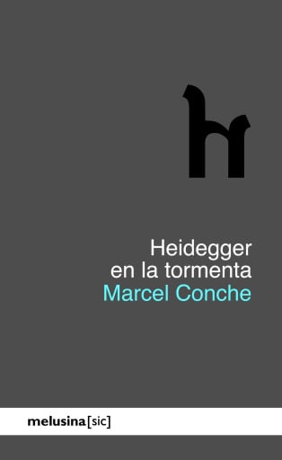 Heidegger en la tormenta