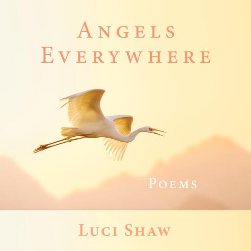 Angels Everywhere