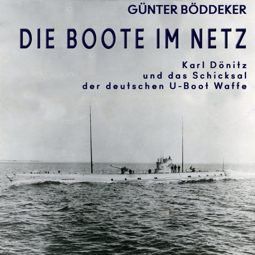 Die Boote im Netz