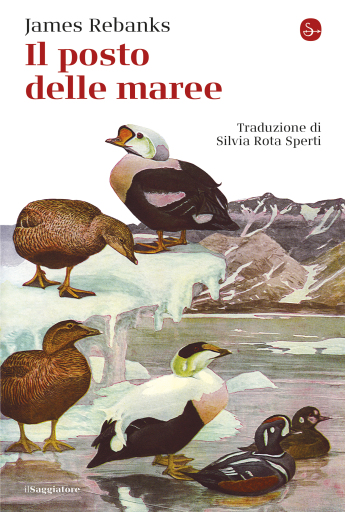 Il posto delle maree