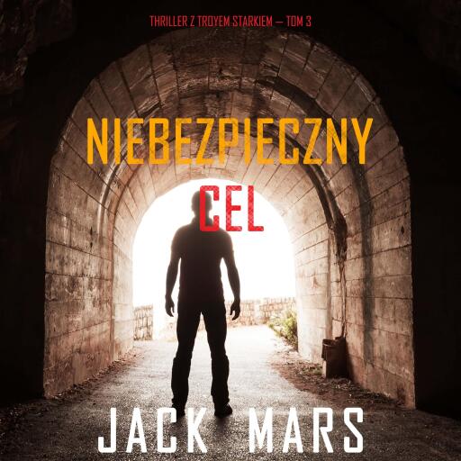 Niebezpieczny cel (Thriller z Troyem Starkiem — Tom 3)