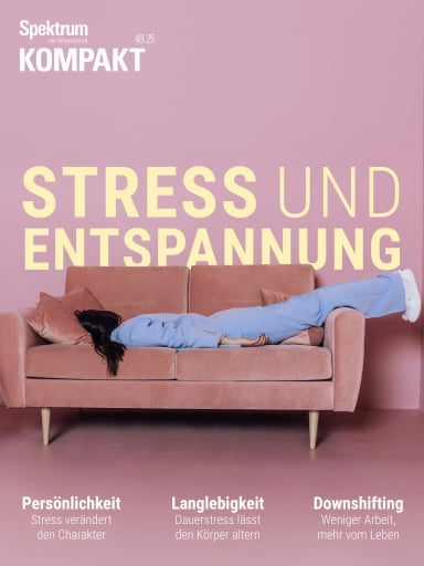 Spektrum Kompakt - Stress und Entspannung
