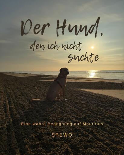 Der Hund, den ich nicht suchte – Eine wahre Begegnung auf Mauritius