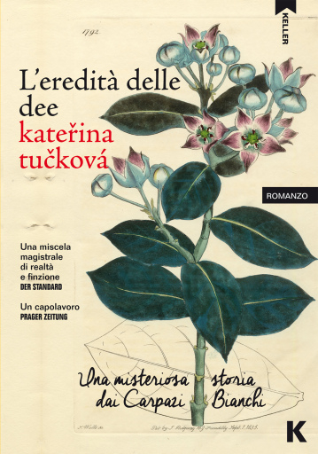 L'eredità delle dee