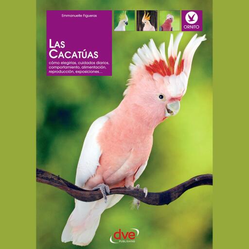 Las cacatúas: Cómo elegirlas, cuidados diarios, comportamiento, alimentación, reproducción, exposiciones…