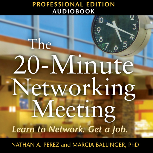 The 20-Minute Networking Meeting - Professional Edition