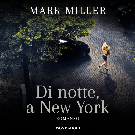 Di notte, a New York