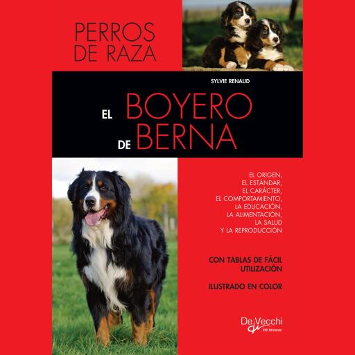 El boyero de Berna