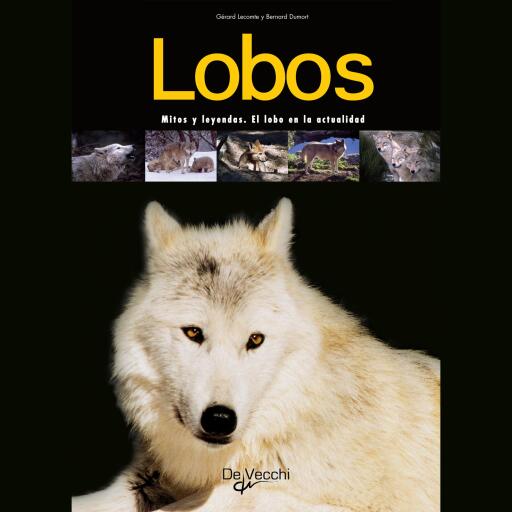Lobos. Mitos y leyendas. El lobo en la actualidad
