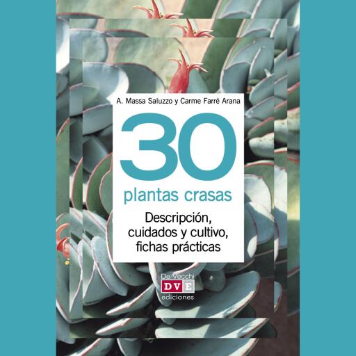 30 plantas crasas