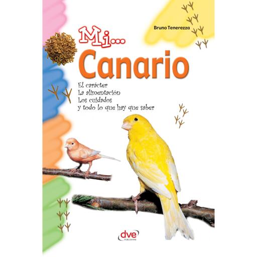 Mi... Canario