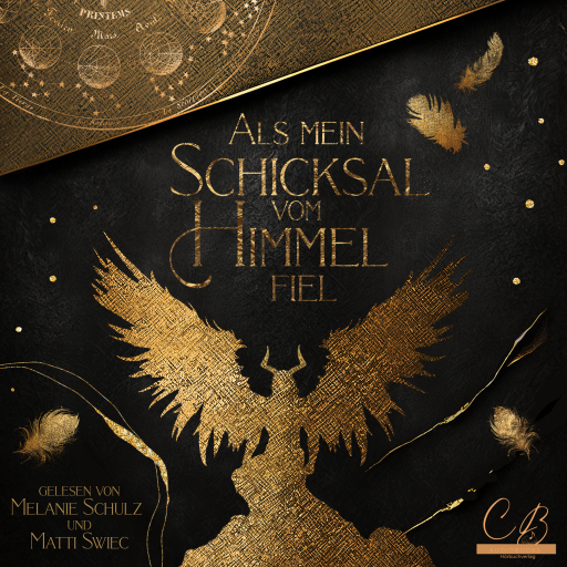 Als mein Schicksal vom Himmel fiel