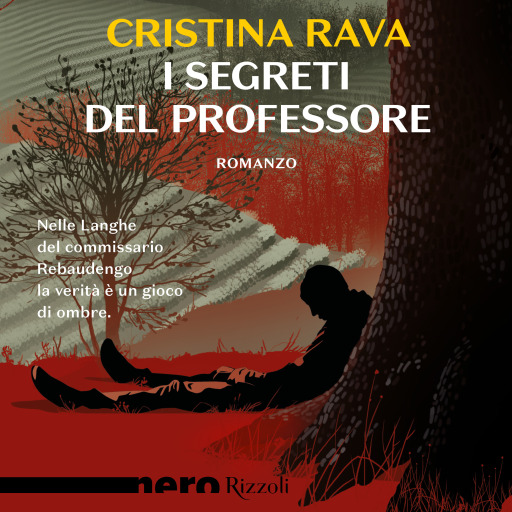 Portada del audiolibro «I segreti del professore (Nero Rizzoli)», de Rava Cristina