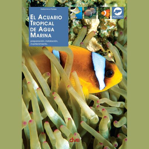 El acuario tropical de agua marina